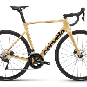 SOLOIST 105 (GOLD DUST)